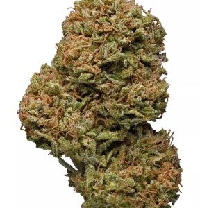 Amnesia Haze